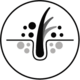 reinvigorate follicles